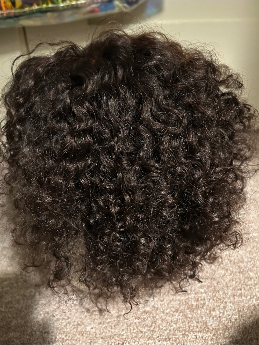 Natural Curly Brown Women’s Wig - Lightweight Style - human hair - Picture 2 of 8